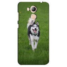 Чехол с Хаски для Huawei Honor 6c Pro - (AlphaPrint) (Радостный Хаски)