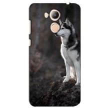 Чехол с Хаски для Huawei Honor 6c Pro - (AlphaPrint) (Верный пес)
