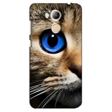 Чехлы с Котиками для Huawei Honor 6c Pro (VPrint) (Глаз кота)