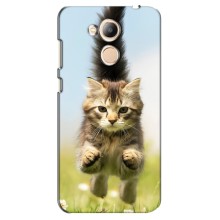 Чехлы с Котиками для Huawei Honor 6c Pro (VPrint) (Прыжок кота)