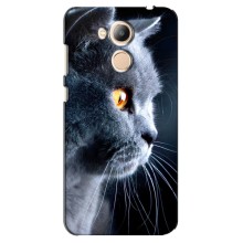 Чехлы с Котиками для Huawei Honor 6c Pro (VPrint) (Серый Кот)