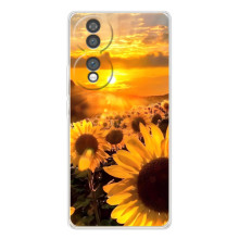 Чехол с Цветами для Huawei Honor 70 (поле подсолнухов)