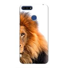 Чохли з картинкою животних Huawei Honor 7A Pro (Лев грива)