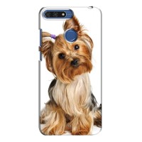 Чехол (ТПУ) Милые собачки для Huawei Honor 7A Pro – Собака Терьер