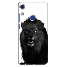 Чехлы с картинками животных Huawei Honor 8A