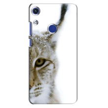 Чохли з картинкою животних Huawei Honor 8A (Рись)
