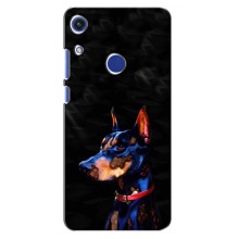 Чохли з картинкою животних Huawei Honor 8A (Собака)