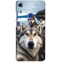 Чехол с Хаски для Huawei Honor 8A - (AlphaPrint) (Селфи ХАски)