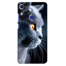 Чохли з Котиками для Huawei Honor 8A (VPrint) (Сірий Кіт)