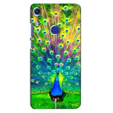 Чохол з пташками на Huawei Honor 8A (VPrint) (Яскравий Павлин)