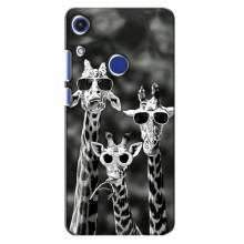 Силіконовий чохол з КАРТИНКАМИ літо для Huawei Honor 8A (AlphaPrint) (Жирафи в окулярах)