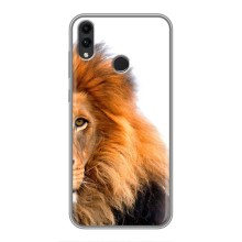 Чехлы с картинками животных Huawei Honor 8X (Лев грива)