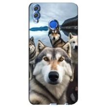 Чохол з Хаскі Huawei Honor 8X - (AlphaPrint) (Селфі Хаскі)