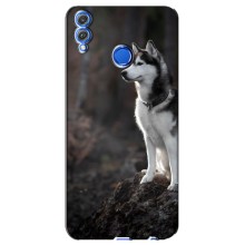 Чохол з Хаскі Huawei Honor 8X - (AlphaPrint) (Вірний собака)