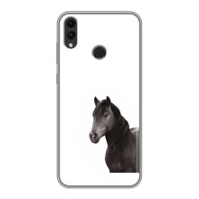 Чехлы с Лошадью дляHuawei Honor 8X (VPrint) (Черный Конь)