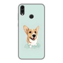 Чохли з собаками для Huawei Honor 8X (VPrint) (Коргі)