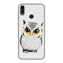 Чохол з пташками на Huawei Honor 8X (VPrint) (Мила Сова)