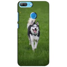 Чехол с Хаски для Huawei Honor 9 Lite - (AlphaPrint) (Радостный Хаски)