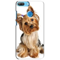 Чехол (ТПУ) Милые собачки для Huawei Honor 9 Lite (Собака Терьер)