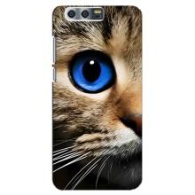 Чехлы с Котиками для Huawei Honor 9, Glory 9, STF (VPrint) (Глаз кота)