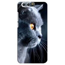 Чехлы с Котиками для Huawei Honor 9, Glory 9, STF (VPrint) (Серый Кот)