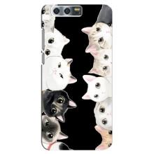 Чехол на  Хуавей Хонор 9, Глори 9, СТВ с Котами (VPrint) (Взгляд котов)