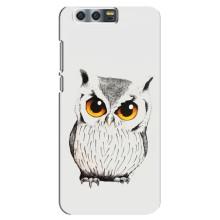 Чехол с птицами на Huawei Honor 9, Glory 9, STF (VPrint) (Милая Сова)