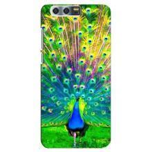 Чехол с птицами на Huawei Honor 9, Glory 9, STF (VPrint) (Яркий Павлин)