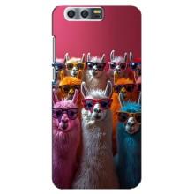 Чехол с принтом стильные животные для  Хуавей Хонор 9, Глори 9, СТВ – Ламы в очках