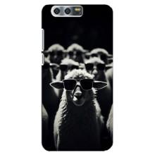 Чехол с принтом стильные животные для  Хуавей Хонор 9, Глори 9, СТВ – Овечка в очках