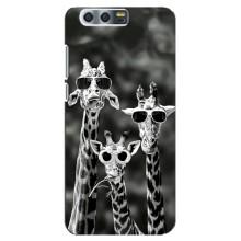 Силиконовый чехол с КАРТИНКАМИ лето для Huawei Honor 9, Glory 9, STF (AlphaPrint) (Жирафы в очках)
