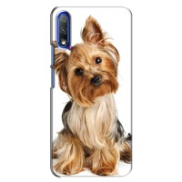 Чехол (ТПУ) Милые собачки для Huawei Honor 9X – Собака Терьер
