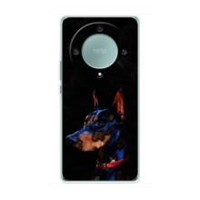 Чехлы с картинками животных Huawei Honor Magic 5 Lite 5G (Собака)