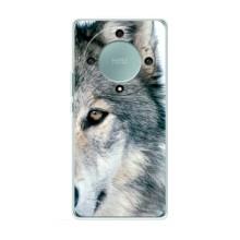 Чехлы с картинками животных Huawei Honor Magic 5 Lite 5G (Волк)