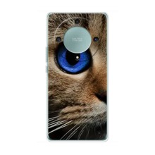 Чехлы с Котиками для Huawei Honor Magic 5 Lite 5G (VPrint) (Глаз кота)