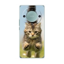 Чехлы с Котиками для Huawei Honor Magic 5 Lite 5G (VPrint) (Прыжок кота)