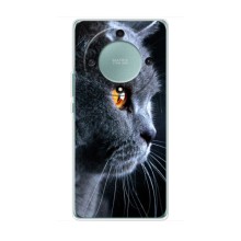 Чехлы с Котиками для Huawei Honor Magic 5 Lite 5G (VPrint) (Серый Кот)