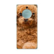 Чехлы с собаками для Huawei Honor Magic 5 Lite 5G (VPrint) (Щенок Бишон)
