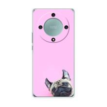 Чехлы с собаками для Huawei Honor Magic 5 Lite 5G (VPrint) (Смешная собака)