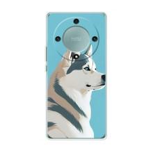 Чехол с Хаски для Huawei Honor Magic 6 Lite 5G - (AlphaPrint) (Хаски арт)