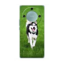 Чехол с Хаски для Huawei Honor Magic 6 Lite 5G - (AlphaPrint) (Радостный Хаски)