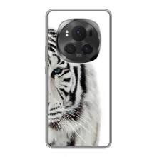 Чохли з картинкою животних Huawei Honor Magic 6 Pro (Білий Тигр)
