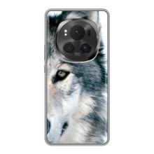 Чохли з картинкою животних Huawei Honor Magic 6 Pro (Вовк)