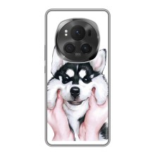 Бампер для Huawei Honor Magic 6 Pro з картинкою "Песики" – Собака Хаскі