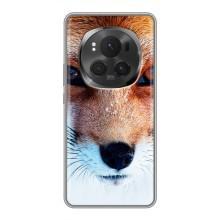 Чохол з Лисичкою для Huawei Honor Magic 6 Pro (Руда Лисичка)