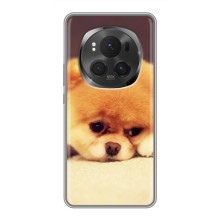 Чохол (ТПУ) Милі песики для Huawei Honor Magic 6 Pro (Померанский шпіц)