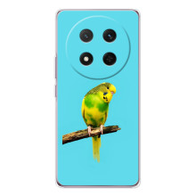 Силиконовый чехол с птичкой на Huawei Honor Magic 7 Lite