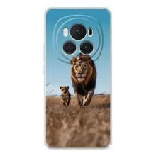 Чохол Король лев на Хонор Меджік 7 Про (Мусафа і Сімба)
