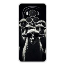 Чохол з принтом стильні тварини для Хонор Меджік 7 Про (Овечка в окулярах)