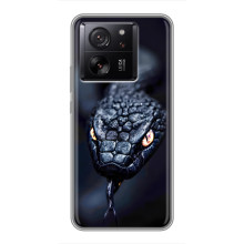 Чохол з картинкою 'Хижаки' для Huawei Honor Play 10 – Змія